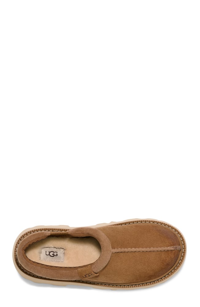 UGG Tasman Lug – Herr – Chestnut